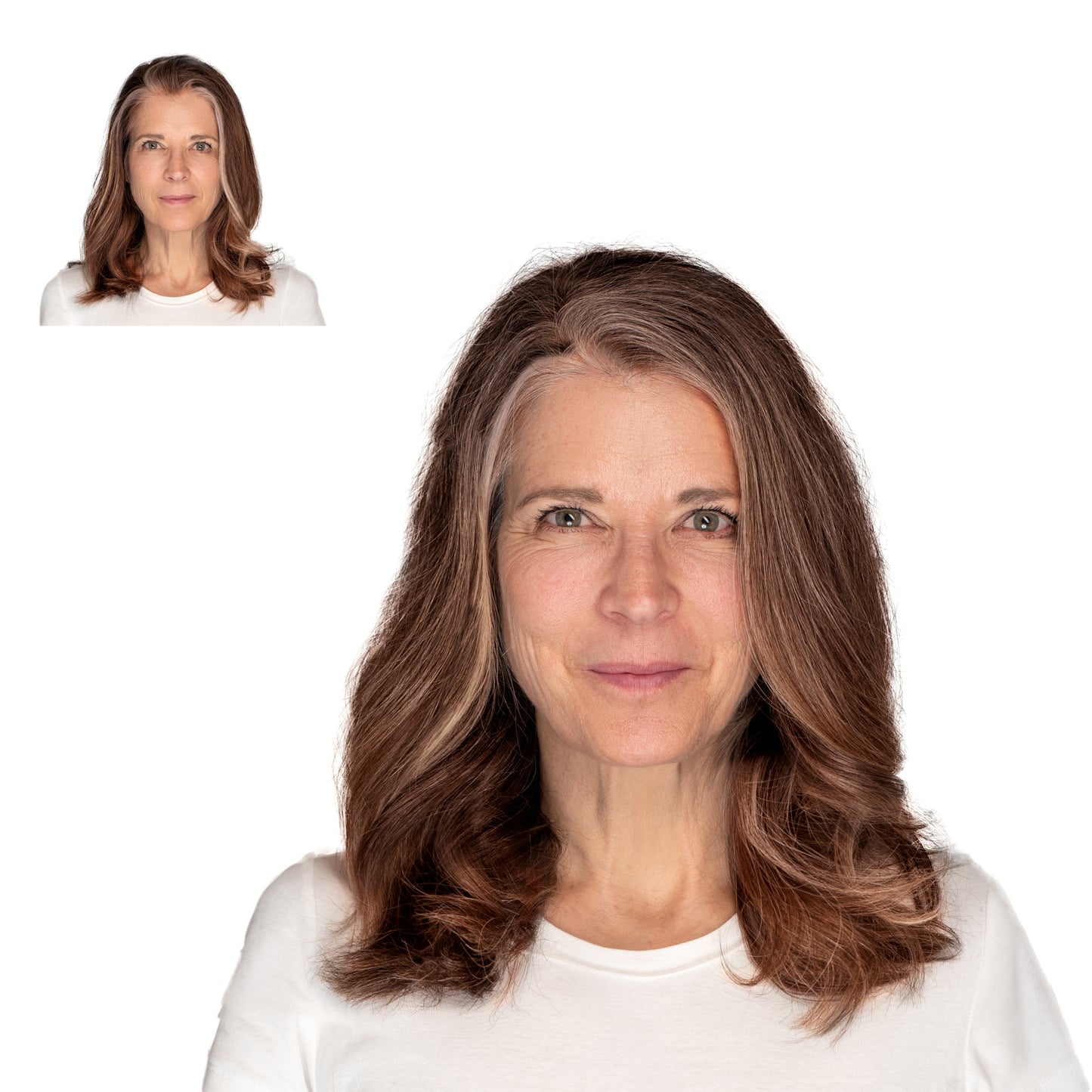 12" Clip-In Extensions